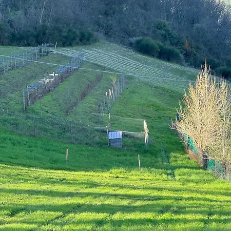 ファームステイ Lecannelleagribenessere *